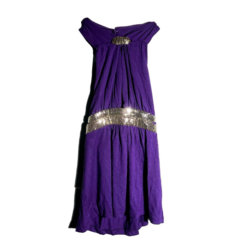 Boho Chic Halter Purple bebe Top